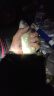民间艺人夜光漂电池425型号夜钓电子漂动力源小电池316鱼漂钓鱼配件 CR425电池1粒 实拍图