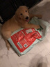麦富迪狗粮 藻趣儿7.5kg 幼犬中大型小型犬通用（牛肉螺旋藻）金毛泰迪 实拍图