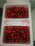 山东红灯樱桃超甜产地包邮应季采摘孕妇新鲜水果红樱桃当季热卖 4.8斤(净重) 红灯大樱桃 大果(26-28mm) 晒单实拍图