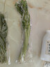  大芹菜约400g 实拍图