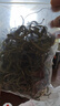 六养源长白山肾精草60g 肾精茶嗷嗷叫黄金草金钱草猫爪草滋补泡水泡酒 实拍图
