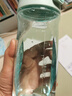膳魔师（THERMOS）水杯550ML塑料男女随手杯太空杯 Tritan材质TCSD-550 BG  实拍图