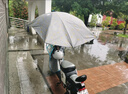 馗龙电动电瓶车雨棚蓬新款可折叠拆卸防晒专用挡雨遮阳伞摩托车防雨棚 加长黑胶 卡其金羽毛 单伞 实拍图