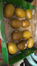 佳沛（zespri）新西兰  阳光金奇异果10粒礼盒巨大果单果约144-175g 水果 猕猴桃 实拍图