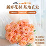 云南鲜花批发品质玫瑰百合水养鲜切花送女友生日礼物源头直发 玫瑰10枝-任意色 【任选2件—不收运費】 实拍图