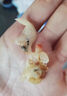 海藻妈妈淡晒蛤蜊干 净重1斤 250g*2 蚬子干去脏 海鲜干货 源头直发 实拍图