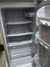 先科速冻冷藏双门冰箱家用一级能耗迷你出租屋节能省电轻音小型电冰箱 一级能效/78L双门银/约3天一度电 实拍图