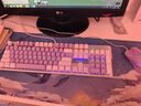 本手机械键盘有线键鼠套装 紫色键盘鼠标猫耳朵耳机三件套 背光可爱男女生办公台式电脑笔记本电竞游戏 白紫-混光青轴两件套【键盘+鼠标】 实拍图