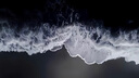 英氏有机核桃油宝宝热炒油凉拌250ml辅食用油6个月以上适用于婴幼儿 实拍图
