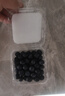 鲜级佳辽宁丹东蓝莓王【多地次日达】新鲜孕妇L25花香蓝莓礼盒怡颗蓝莓 6盒【125g/盒】高复购率-超划算 人工挑选 精品大果【单果18mm+】 实拍图