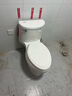 科勒（KOHLER）五级旋风连体抽水马桶坐便器喷射虹吸式大冲力400坑距4983T-SE-0 实拍图