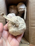 牛爱鲜 云南沃柑橘子薄皮桔子柑橘应季水果送礼装蜜柑整箱 净重4.5-5斤超值装 新鲜 实拍图