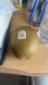 佳沛（zespri）新西兰   阳光金奇异果 8个装 超大果单果重约173-204g 猕猴桃 实拍图