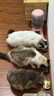 领先猫主食罐头猫咪零食湿粮全价猫粮礼盒装混合口味85g*30罐 实拍图