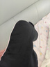 意构 真丝睡眠遮光眼罩 桑蚕丝男士女士睡觉丝绸护眼罩午睡旅行旅 粉 实拍图