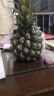 广东徐闻香水菠萝新鲜水果生鲜热带孕妇水果整箱包邮 【限时低价】1个装  单果650g起 实拍图