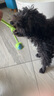 HELLOJOY狗狗玩具 耐咬磨牙棉绳球套装宠物幼犬小狗玩具自己玩解闷5件套 实拍图