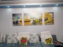 Sixpoetry 客厅装饰画现代简约沙发背景墙壁画轻奢三联晶瓷画大气高档挂画 福禄双收（铝合金外框） 晶瓷画左右60*80+中间120*80亮面 实拍图