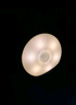 Yeelight易来感应夜灯光控LED光感灯喂奶起夜氛围灯床头橱柜地脚灯 充电感应夜灯【支持人感】 实拍图