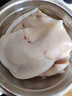 獐子岛 冷冻整只鱿鱼1斤 5-7条 铁板鱿鱼火锅烧烤食材 海鲜软足 实拍图