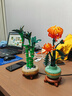 乐高（LEGO）积木拼装10369 傲骨梅永生花男孩女孩玩具生日礼物 实拍图