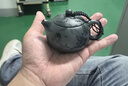 藏壶天下宜兴紫砂壶纯手工紫砂茶具西施壶小容量泡茶壶西施 实拍图