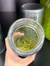 乐品乐茶茶叶绿茶特级毛尖2025新茶明前春茶嫩芽散装自己喝京东自营250g 实拍图