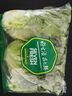 【高原夏菜】钟灵山罗马生菜400g 实拍图