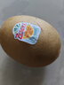 佳沛（zespri）新西兰 新果季 阳光金奇异果33粒原箱单果重约101-114g 猕猴桃 实拍图