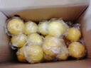 京喜加安岳黄柠檬泡水喝 新鲜水果  清香浓郁细腻 带箱5斤中果（单果100g+） 实拍图