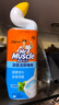 威猛先生（Mr Muscle）洁厕灵 750g*2瓶 洁厕剂 冰爽薄荷 洁厕液 洁厕啫喱 马桶 除垢 实拍图