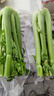 京鲜生山东新鲜大西芹净重4.5斤榨汁现挖芹菜鲜嫩蔬菜 去半叶源头直发 实拍图