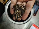 一杯香茶叶茉莉花茶横县特级500g2025新茶礼盒装茉莉绿茶花草茶自己喝 实拍图