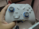 飞智冰原狼2 多模版无线游戏手柄 类xbox霍尔线性扳机switch电脑PC手机steam体感NS双影奇境怪物猎人 实拍图
