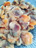 七冰东 赤贝肉毛哈肉 新鲜现剥毛蛤蜊肉冷冻毛蚬子肉血蛤肉新鲜干净无沙 赤贝肉毛哈肉 1500g 500g/袋 实拍图