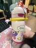 babycare儿童保温杯婴儿宝宝学饮杯吸管水杯水壶霸王龙不锈钢保温杯300ml 实拍图