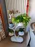 花架客厅2025新款轻奢花架置物架阳台多肉万向轮花盆托架多层铁艺 招财树五盆白 实拍图