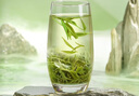 京东京造 2025新茶信阳毛尖绿茶250g明前春茶叶板栗香嫩芽送礼袋 自营 实拍图