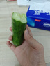 京鲜生 山东水果嫩黄瓜 净重5斤 单根70g+ 小青瓜生吃水果瓜 源头直发 实拍图