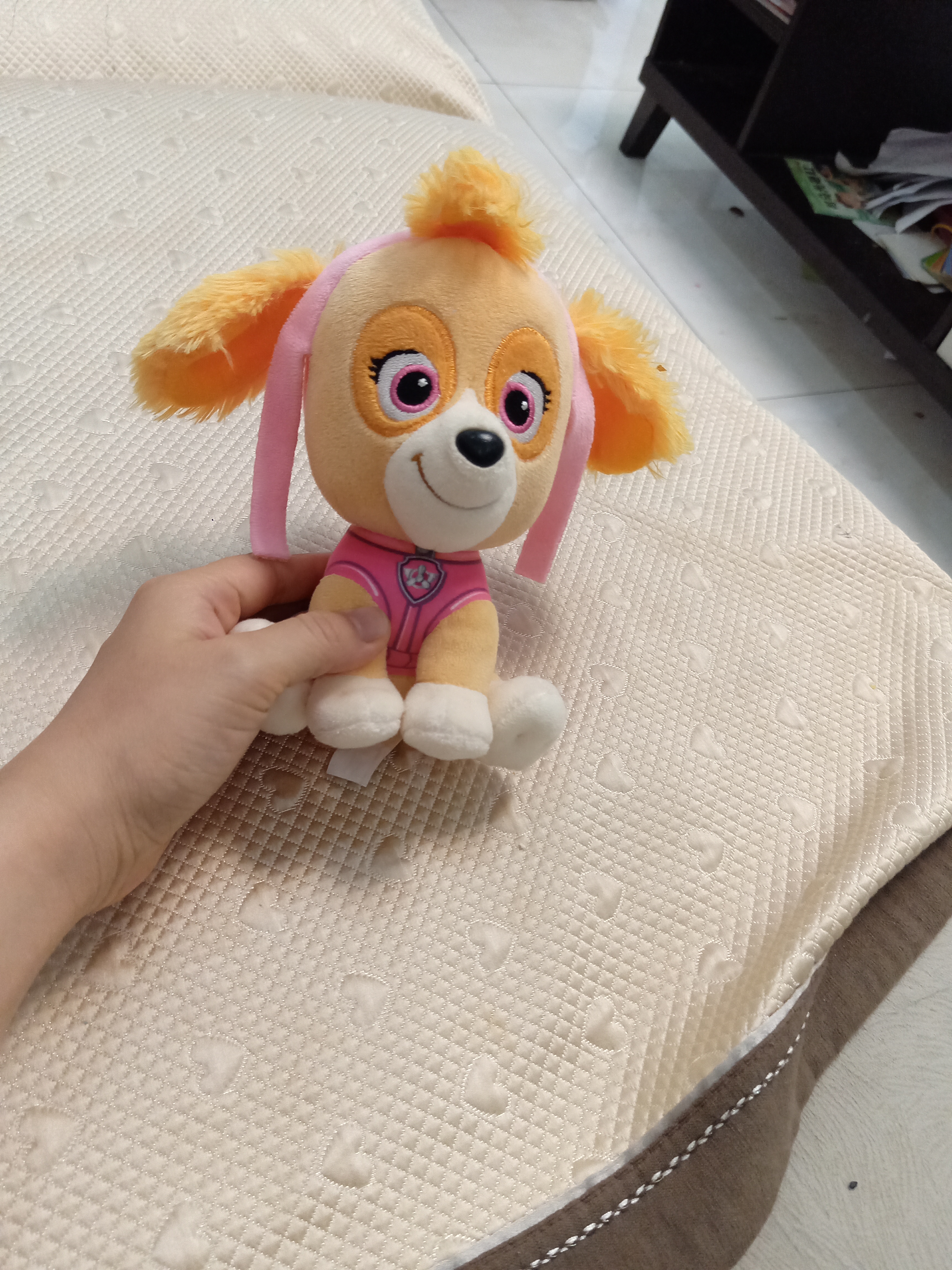 汪汪队立大功（PAW PATROL）狗狗巡逻队毛绒玩具男女孩可爱小狗玩偶公仔儿童节礼品生日礼物 汪汪队毛绒-15-18cm小号天天 cm 实拍图