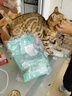 凯锐思幼猫猫粮1-4月奶糕全价幼猫粮离乳期与孕期天然粮2斤 实拍图