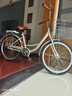 飞鸽 成人自行车女士轻便上班代步复古款通勤单车大学生女式单车 【大芭蕾】单速/暖灰色/高配礼包 24英寸|密封中轴身高145-165cm 实拍图
