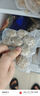 海底捞2-3人火锅套餐礼盒1470g 7荤2素1底料涮煮牛肉毛肚丸子 实拍图