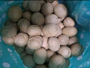楼兰蜜语【京觅专供】新疆新二薄皮核桃2500g原味核桃纸皮送礼盒坚果零食 实拍图