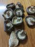联鲜南北特产干货 泡茶煮粥煲汤补品组合 臻瑞尊礼1.98kg 实拍图