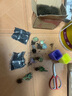 多肉植物精选图片品种发货照图办公室室内阳台桌面图片品种指定品 紫珍珠+淡雪+黄丽+蓝鸟+盆土 实拍图