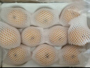 京鲜生 羊脂秋月梨 正宗莱阳 净重10斤15-20粒 单果250g+ 水果礼盒 实拍图