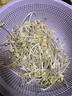 纳丽雅紫砂豆芽神器家用豆芽发芽盆发豆芽罐培育器生豆芽专用工具大容量 直径20cm把手款-麦饭石+接水盘 实拍图