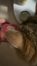 弗列加特98%高含肉量 FPMR生骨肉猫主食罐 成猫幼猫罐头 混合装95g*6罐 实拍图