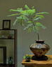 小米米家智能温湿度计3mini 家用车内高精度温度显示器智能联动高续航迷你便携 白色 实拍图